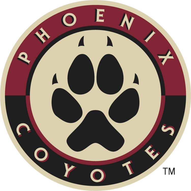 Arizona Coyotes 2008 09-2013 14 Alternate Logo cricut iron on